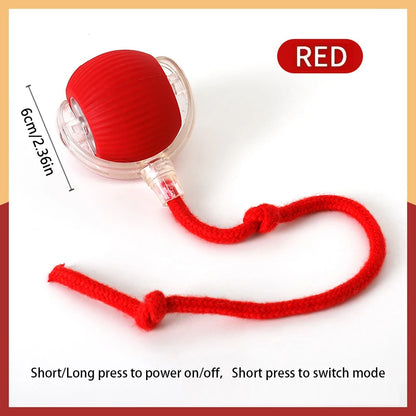 Interactive Automatic Pet Ball — USB Rechargeable Moving Toy for Cats & Dogs