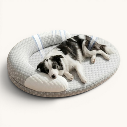 Orthopedic Cooling Dog Bed with Raised Edges — Washable & Breathable