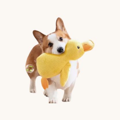 Duck Family Plush Squeaky Toy for Dogs & Cats
